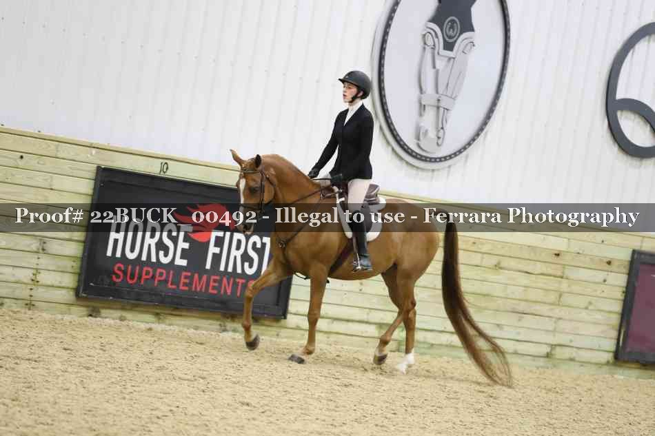 Proof 22BUCK_00492
