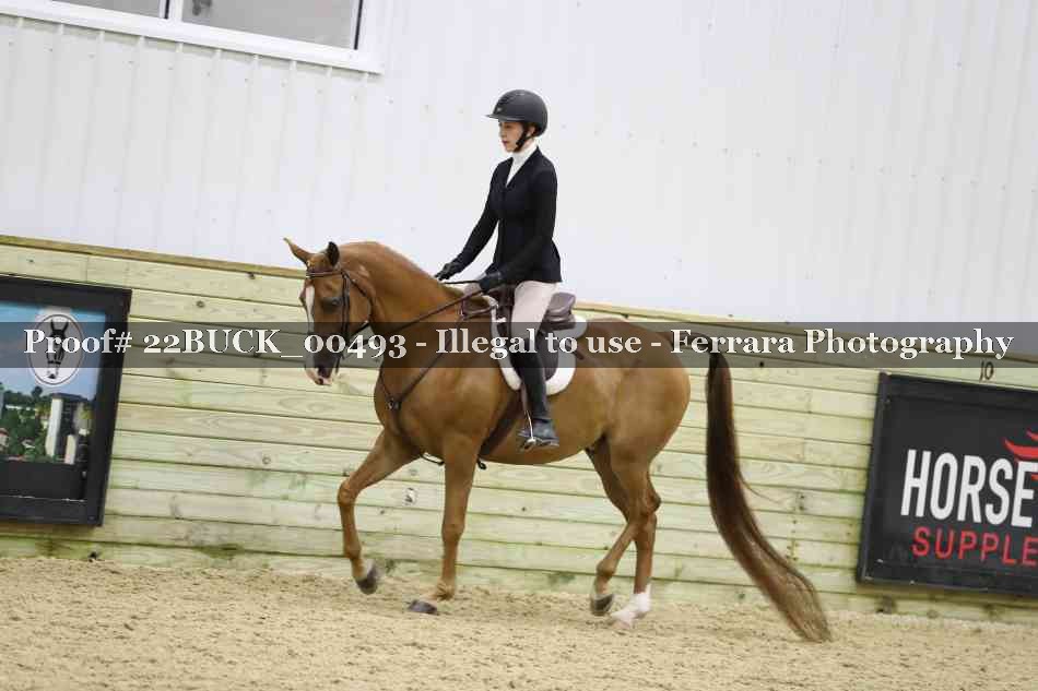 Proof 22BUCK_00493
