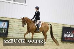 22BUCK_00493 proof