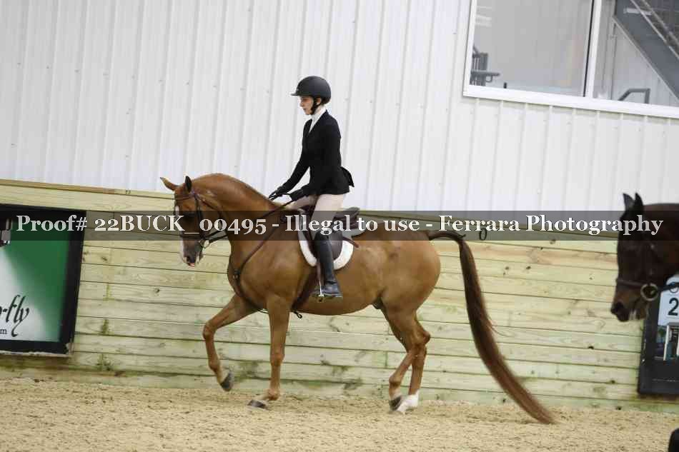Proof 22BUCK_00495