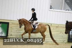 22BUCK_00495 proof
