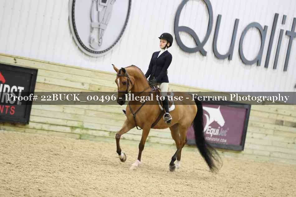 Proof 22BUCK_00496