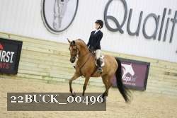 22BUCK_00496 proof