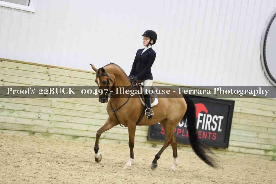 Proof 22BUCK_00497