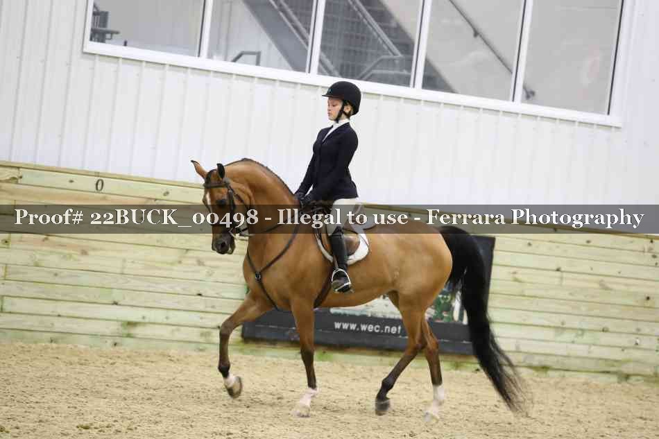 Proof 22BUCK_00498