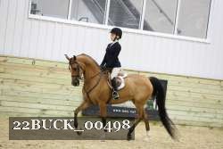 22BUCK_00498 proof
