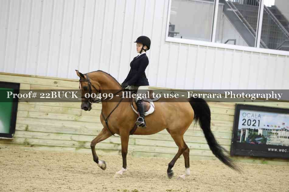 Proof 22BUCK_00499
