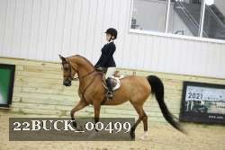 22BUCK_00499 proof