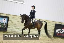 22BUCK_00500 proof
