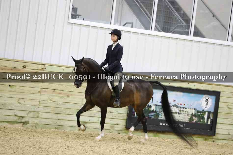 Proof 22BUCK_00501