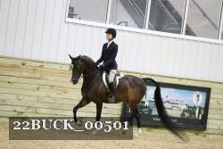 22BUCK_00501 proof