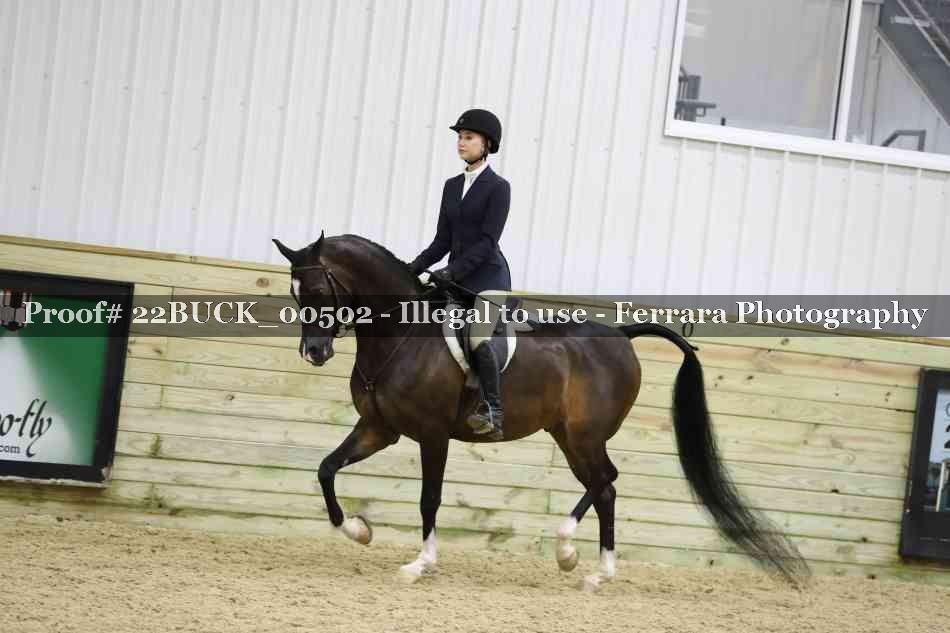 Proof 22BUCK_00502