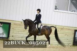 22BUCK_00502 proof