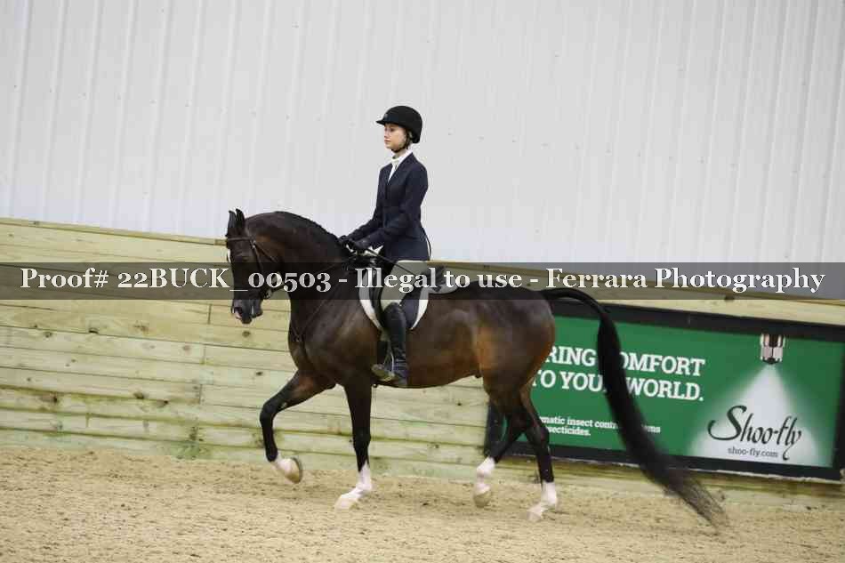 Proof 22BUCK_00503