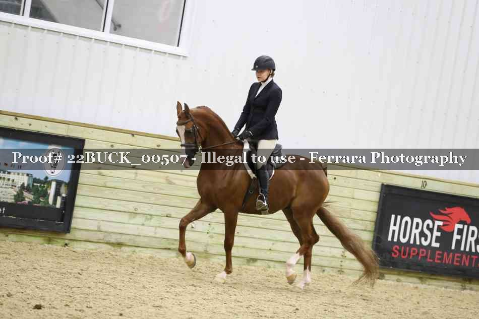 Proof 22BUCK_00507