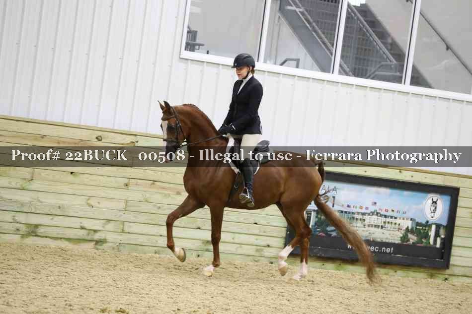 Proof 22BUCK_00508