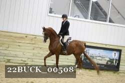 22BUCK_00508 proof