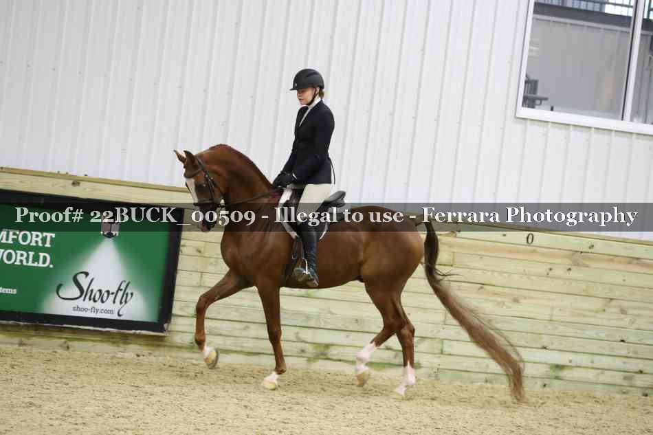 Proof 22BUCK_00509