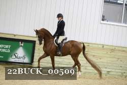 22BUCK_00509 proof