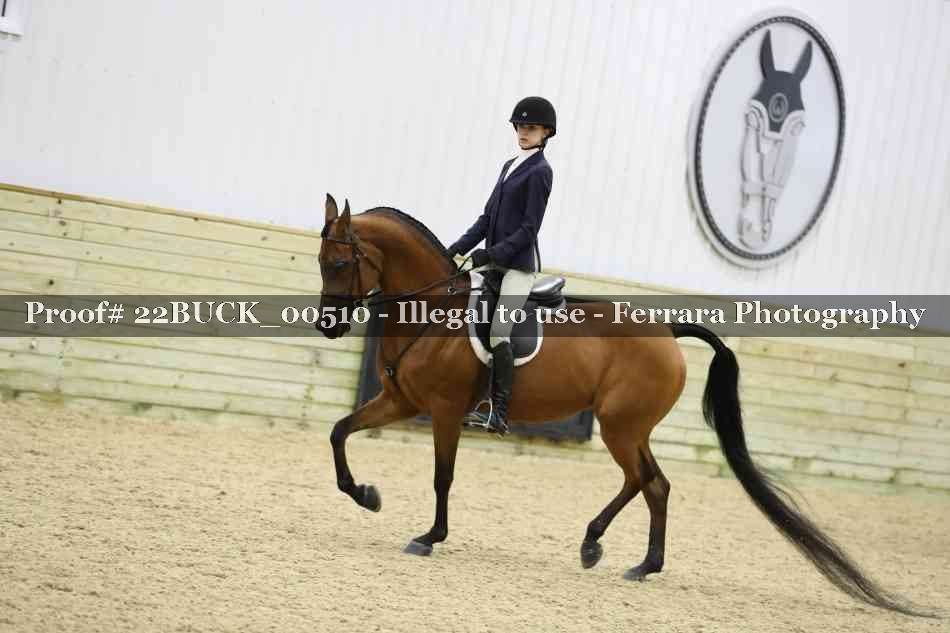 Proof 22BUCK_00510