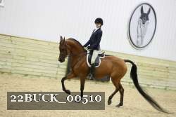 22BUCK_00510 proof