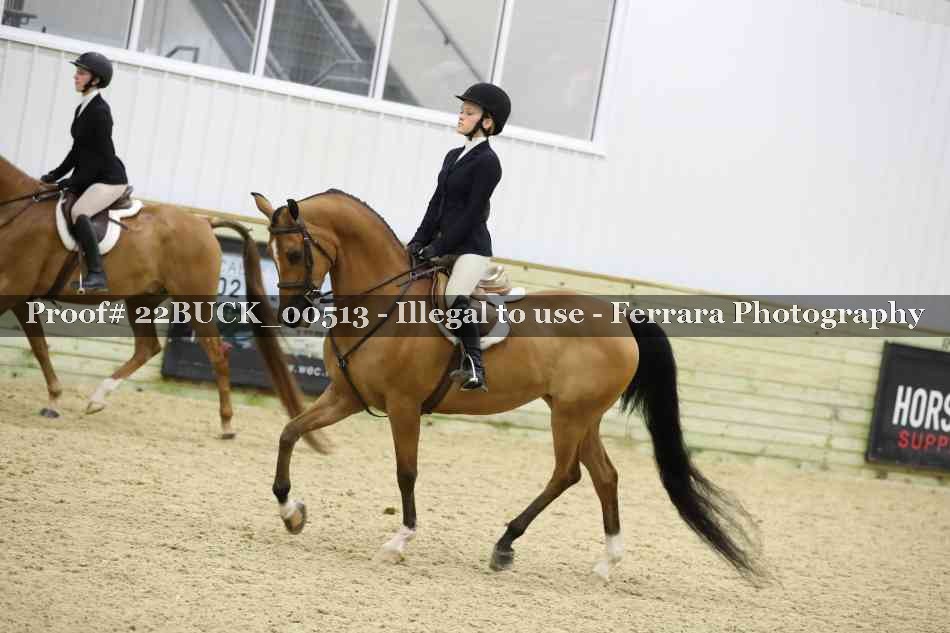 Proof 22BUCK_00513