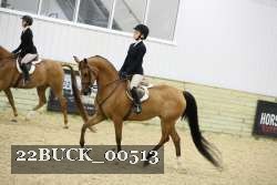 22BUCK_00513 proof