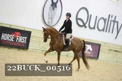 22BUCK_00516 proof