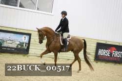 22BUCK_00517 proof