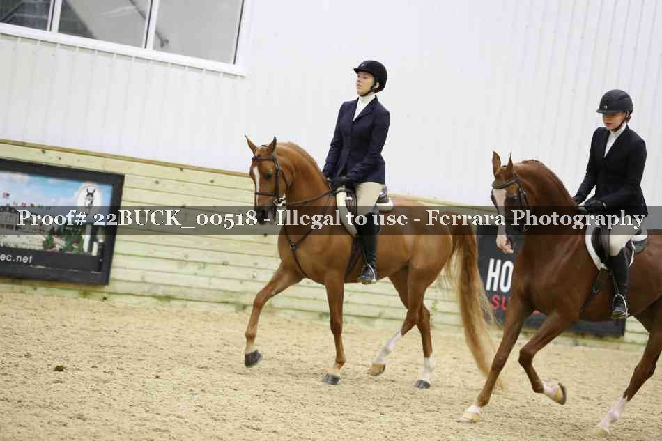 Proof 22BUCK_00518