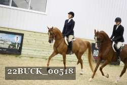 22BUCK_00518 proof