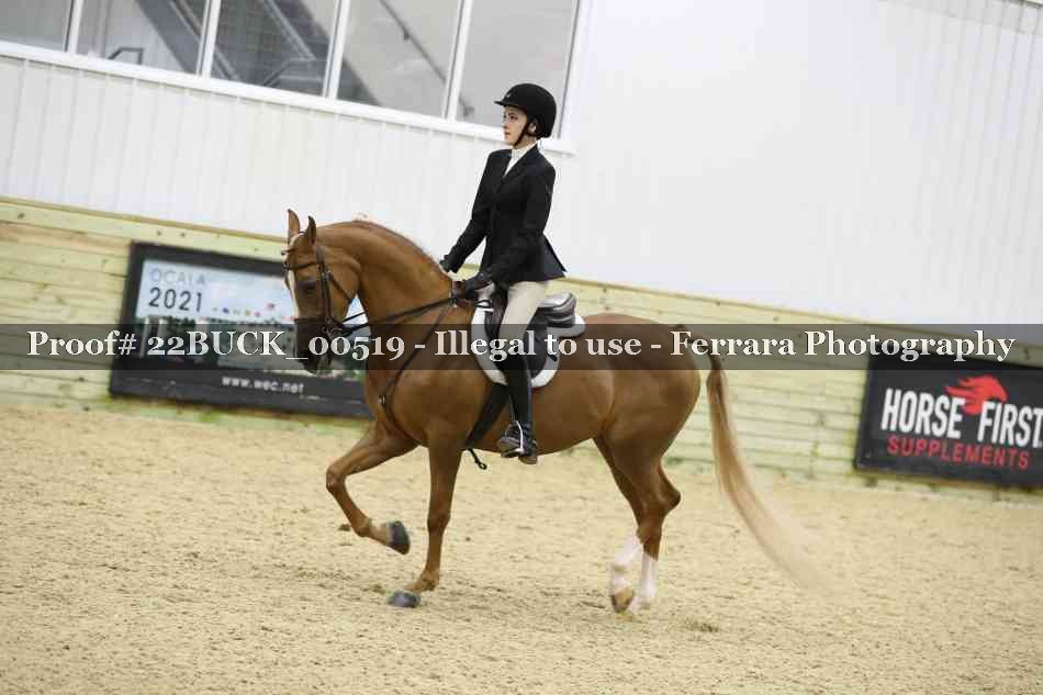 Proof 22BUCK_00519