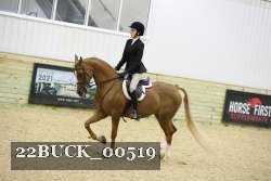 22BUCK_00519 proof