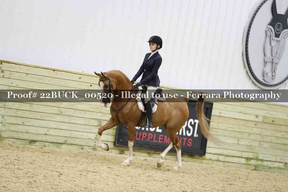 Proof 22BUCK_00520