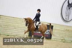 22BUCK_00520 proof