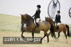 22BUCK_00521 proof