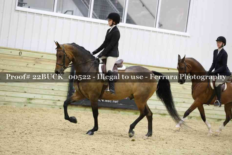 Proof 22BUCK_00522
