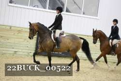 22BUCK_00522 proof