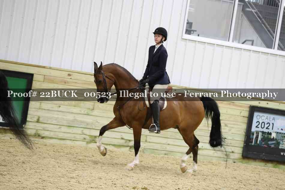 Proof 22BUCK_00523