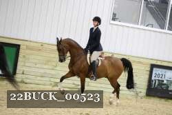 22BUCK_00523 proof