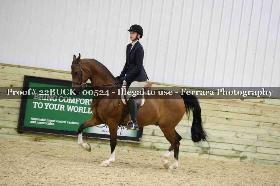 Proof 22BUCK_00524