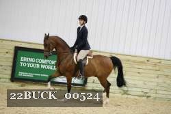 22BUCK_00524 proof