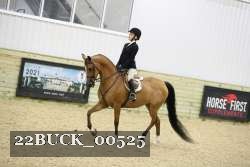 22BUCK_00525 proof
