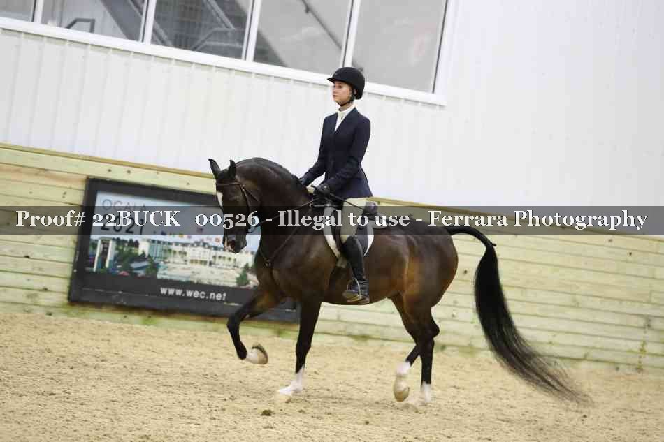 Proof 22BUCK_00526