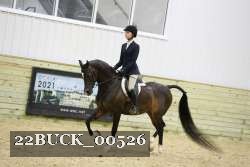 22BUCK_00526 proof