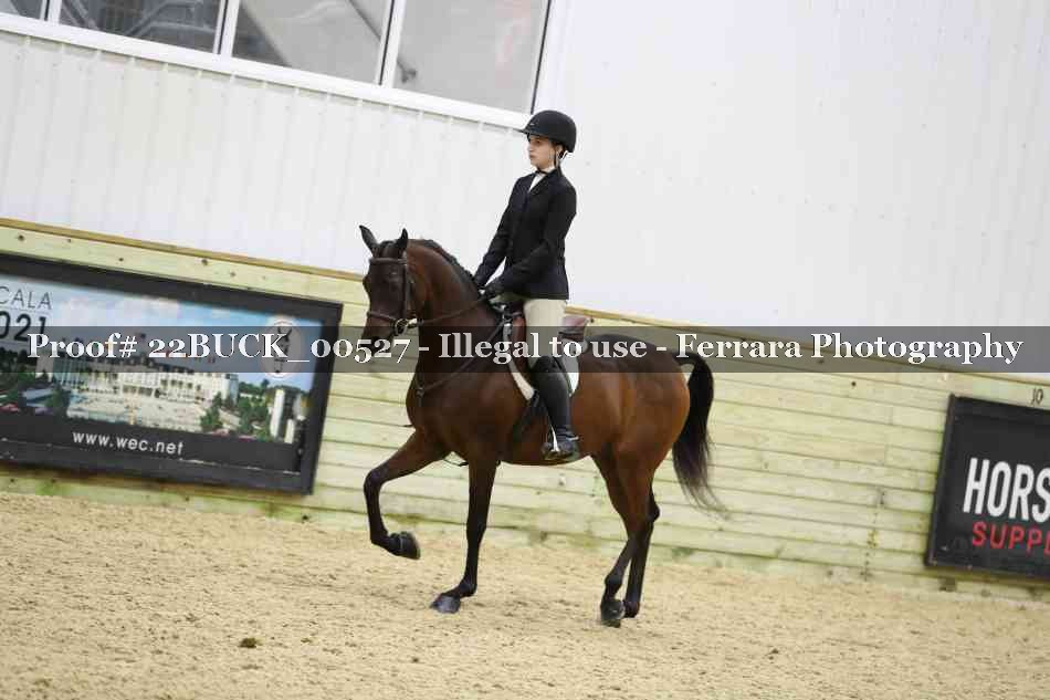 Proof 22BUCK_00527