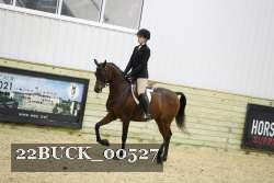 22BUCK_00527 proof