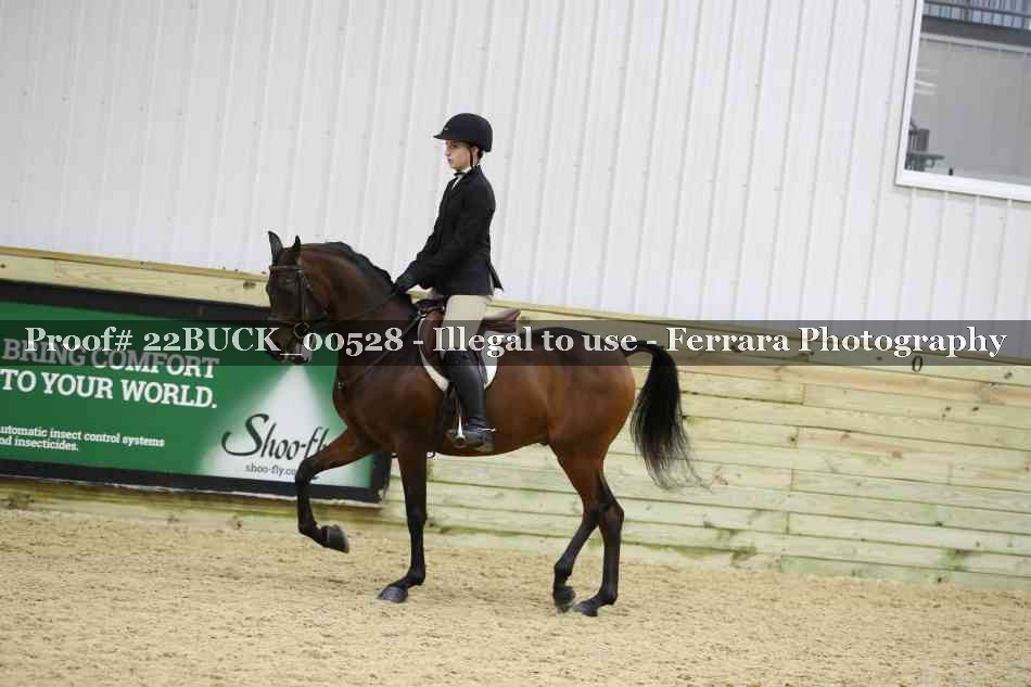 Proof 22BUCK_00528
