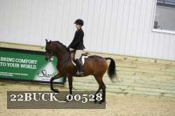 22BUCK_00528 proof