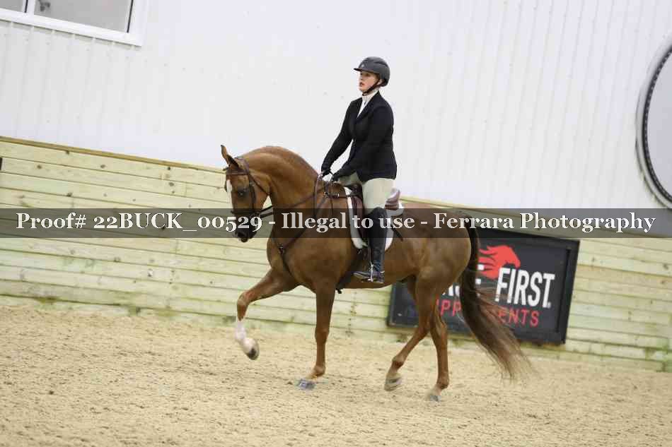 Proof 22BUCK_00529